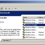 wininst-services.png